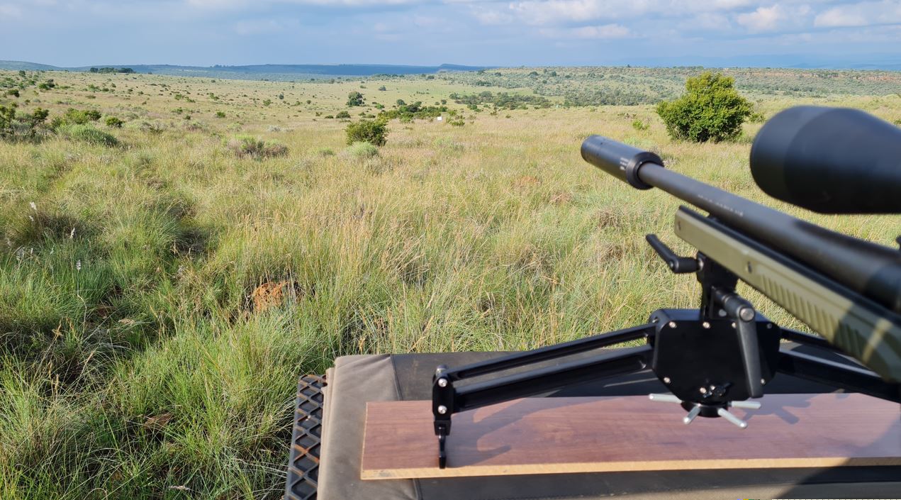 Preatorwildlife-Buffalo